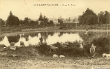 Le Girmont-Val-d'Ajol. - Etang du Dropt (Moutons)